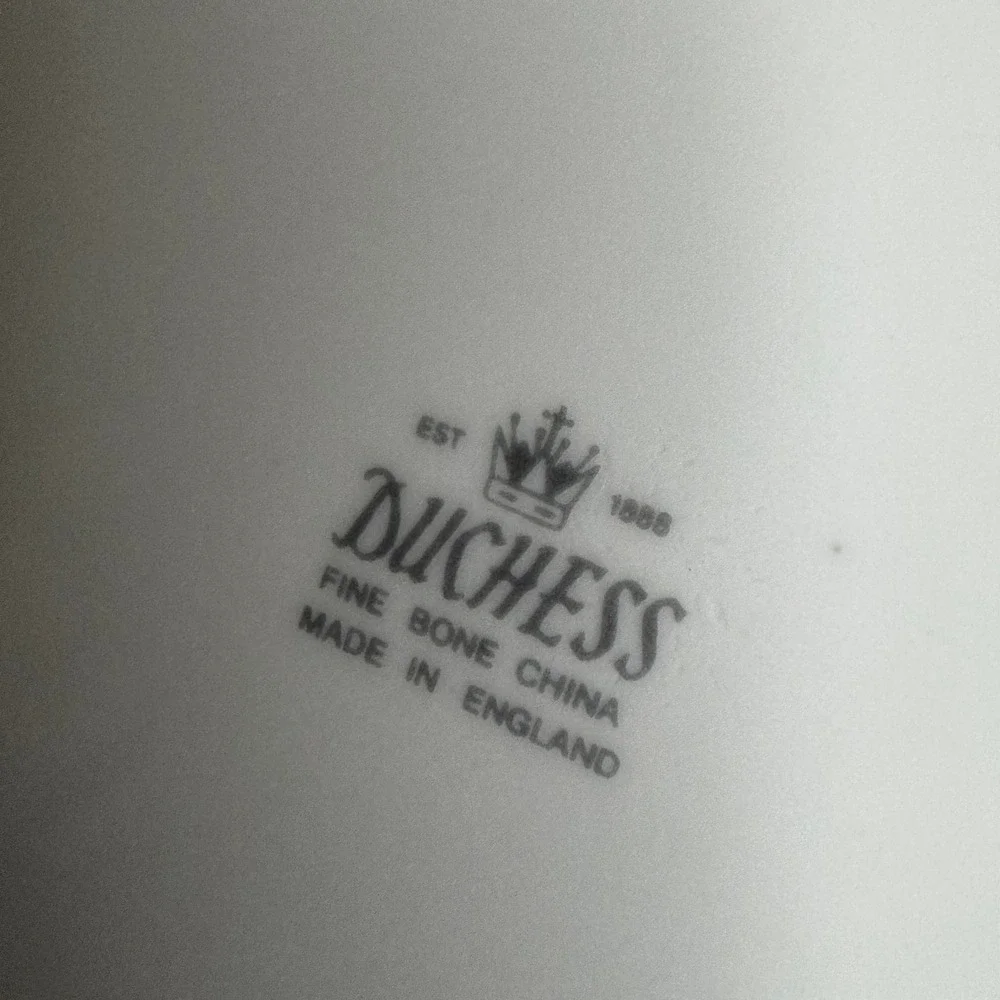 Duchess Fine Bone China June Rose Luncheon Mug Cup & Salad Plate Trio‎ England